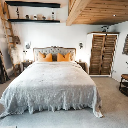 K Style Alpine Loft With Private Sauna 公寓 米耶德斯